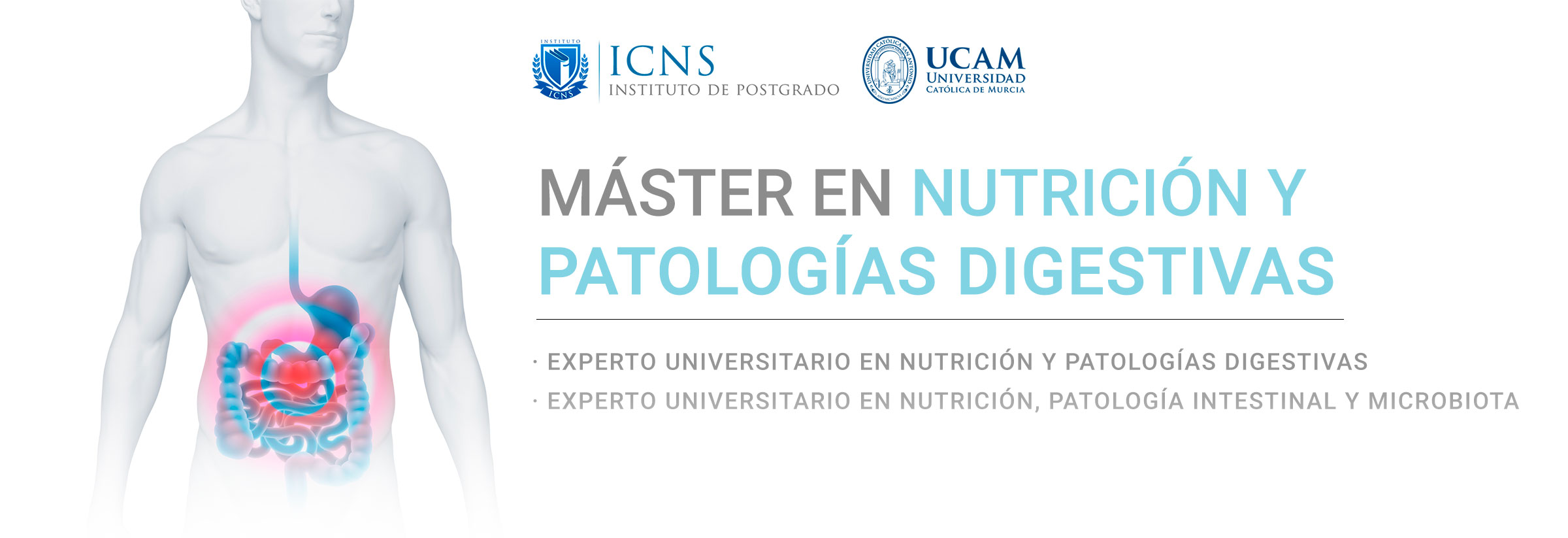 Máster en Nutrición Clínica y Patologías Digestivas (CLMASTERDIG8)
