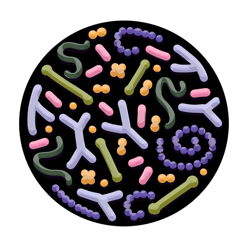 Clase 17 - Microbiota
