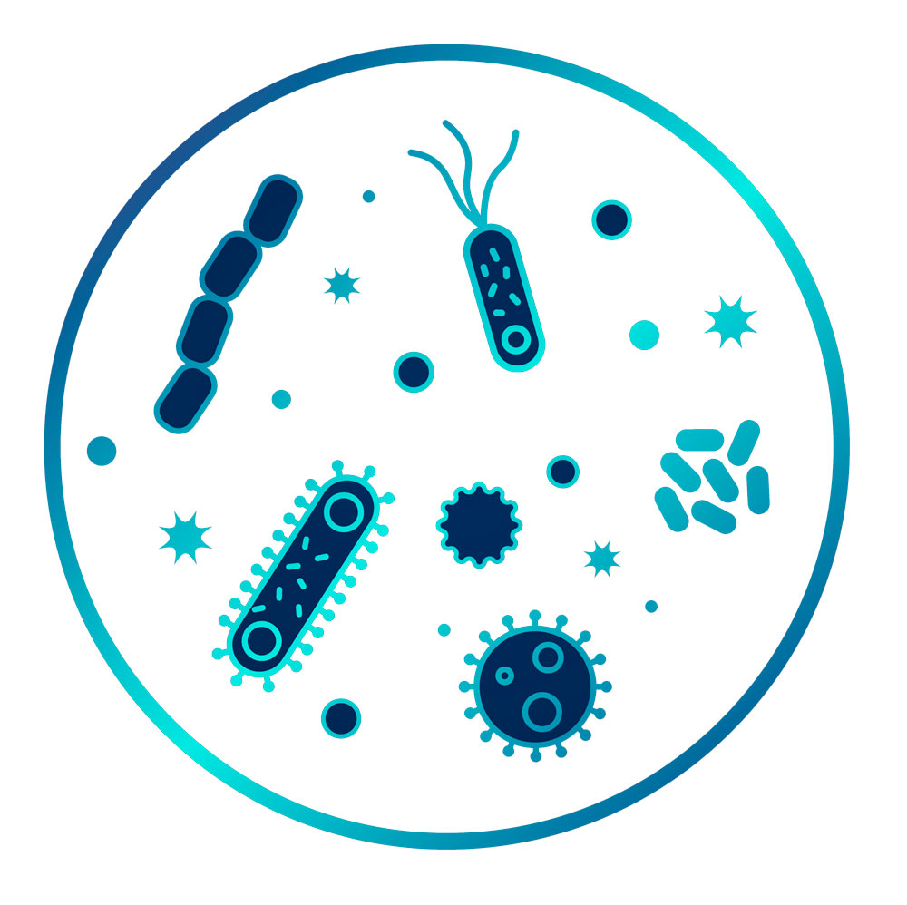 Clase 4 - Microbiota