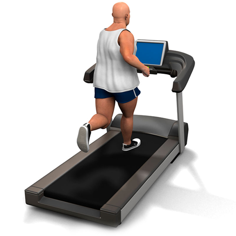 Clase 8 - Actividad física, composición corporal y obesidad