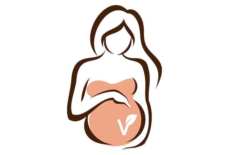Clase 5 - Requerimientos en el Embarazo en mujeres veganas y vegetarianas