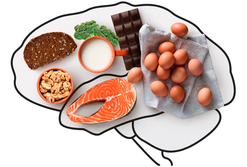 Tema Extra - Neuropsicología de la conducta alimentaria